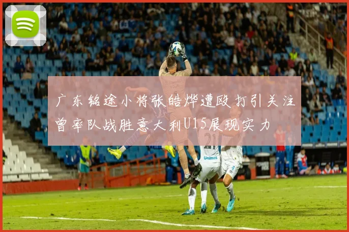 广东铭途小将张皓烨遭殴打引关注曾率队战胜意大利U15展现实力