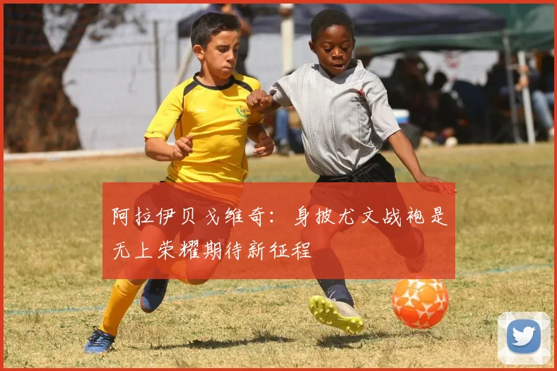阿拉伊贝戈维奇：身披尤文战袍是无上荣耀期待新征程