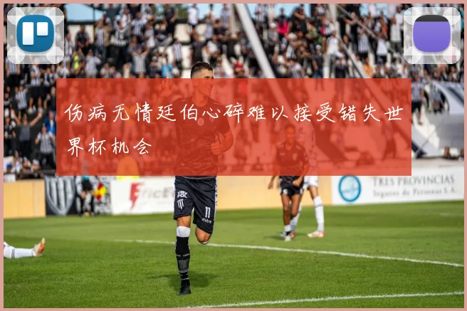 伤病无情廷伯心碎难以接受错失世界杯机会